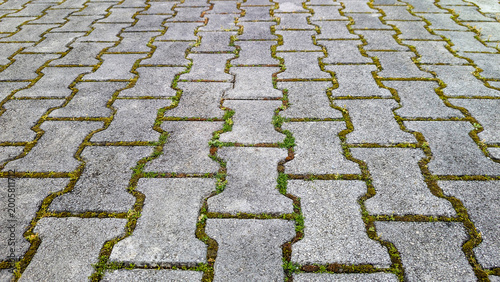 Fotografi Interlocking concrete paver pattern creating a textured background, with green m