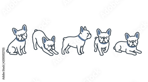 five french bulldog puppies sitting in row hand drawn illustration