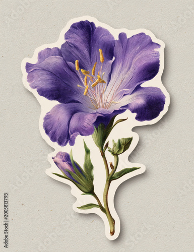 Vintage decorative Flower and Spring illustration, isolated