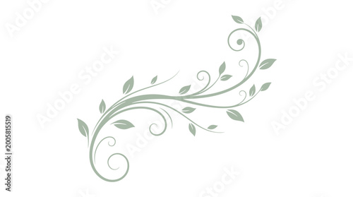 Elegant Green Floral Swirl with Leaves and Tendrils on Isolated White Background