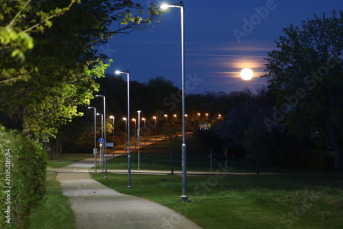 Sweden. Cycling roads in the city of Linköping. Ostergotland province.
