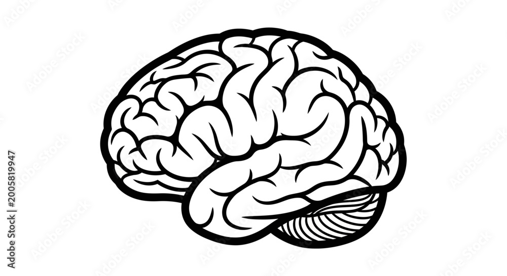 Fototapeta premium Black and White Illustration of Human Brain, Symbol of Intelligence and Thought
