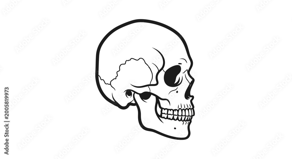 Obraz premium Black and White Skull Illustration, Side View, Human Anatomy, Dark Art