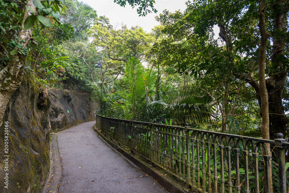 Fototapeta premium Hong Kong, Lugard Road, Victoria Peak, China : narrow jungle path with metal railing and lush tropical vegetation along scenic hillside walkway above the city