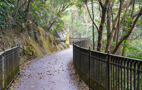 Hong Kong, Lugard Road, Victoria Peak, China : winding forest path with metal railing and lush tropical vegetation along scenic hillside walkway in urban nature