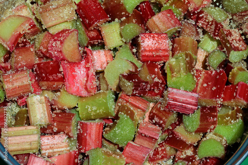 close up of red and green cultivated rhubarb