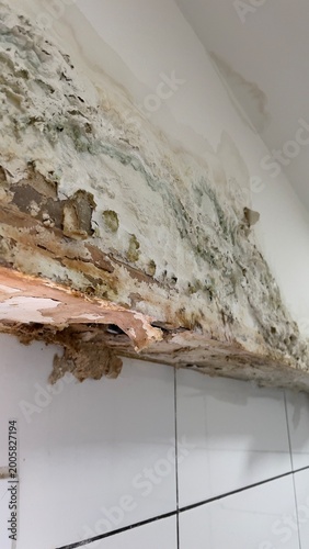 Severe mold growth and peeling paint on damaged wall above white tiles, exposing layers of deteriorated material, humidity and building decay concept
