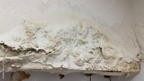 Bild auf Leinwand Severe peeling plaster and water damage on a deteriorated wall surface, concept