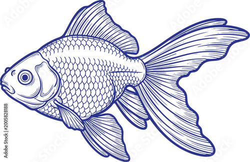 Majestic goldfish line art illustration, hand-drawn blue vector sketch of a fantail fish for aquarium and pet shop branding.