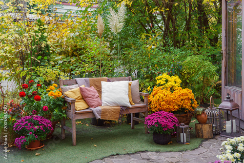 Foto Cozy wooden bench with pillows surrounded by blooming chrysanthemums and colorful autumn foliage creating a relaxing garden atmosphere in fall season