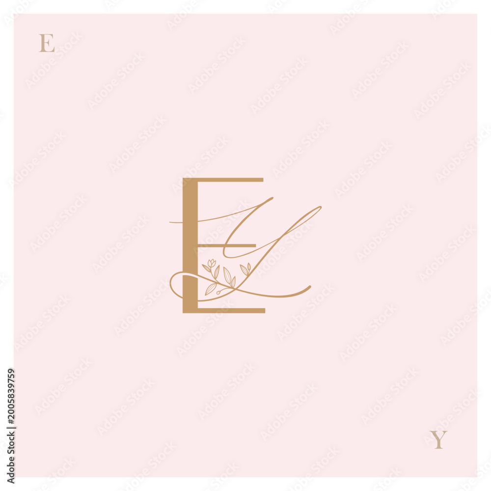 Obraz premium EY, Logo EY, monogram EY, letter EY, alphabet EY