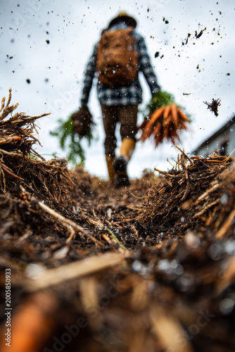 Heroic low angle rear shot of a rugged farmer pulling harvest from soil