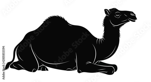 A black silhouette of a dromedary camel lying down on a white background.
