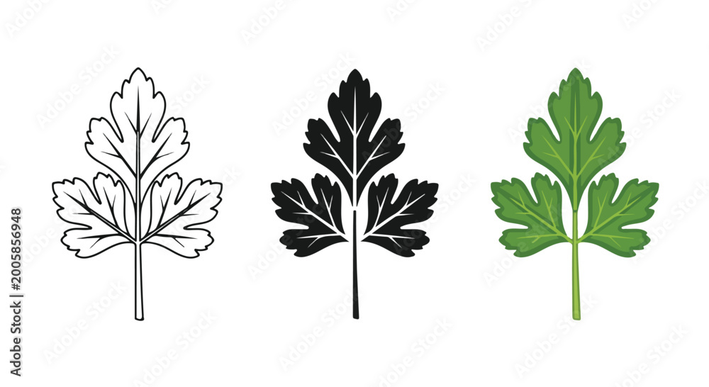 Fototapeta premium Set of three leaf illustrations in black, white, and green with detailed vein patterns and natural textures