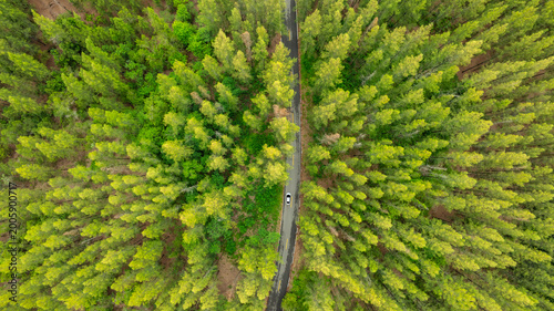 Aerial view of dark green forest road and white electric car Natural landscape and elevated roads Adventure travel and transportation and environmental protection concept	
