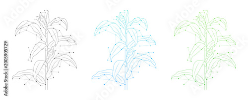 Three colorful abstract plant illustrations featuring digital wireframe connections, symbolizing growth, biotechnology, and data analysis in a scientific context.