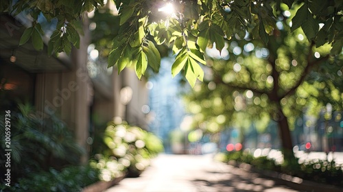 Sunlit urban walkway framed by vibrant green foliage and dappled light