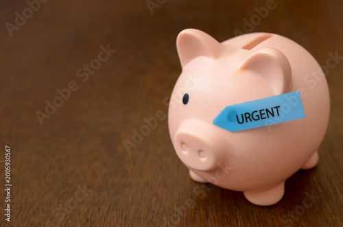 Фотография Money Management and Urgent Financial Need Representation