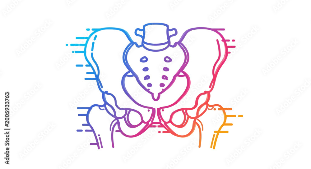 Fototapeta premium Human Pelvis Anatomy Illustration, Colorful Gradient Outline, Medical Concept