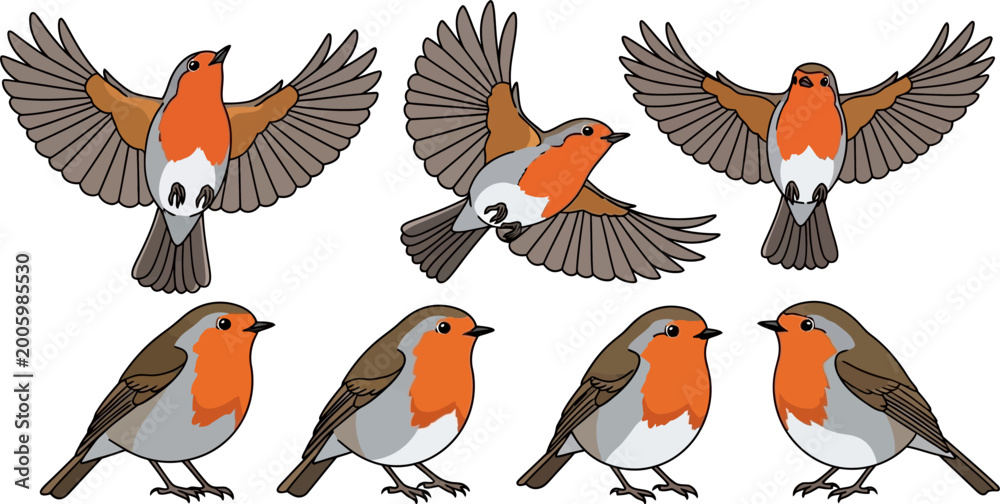 Fototapeta premium Collection of stylized European robins, depicted in flight and perched positions against a white background. Features detailed illustrations of these small birds.