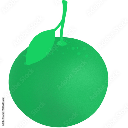 vector illustration of an lime