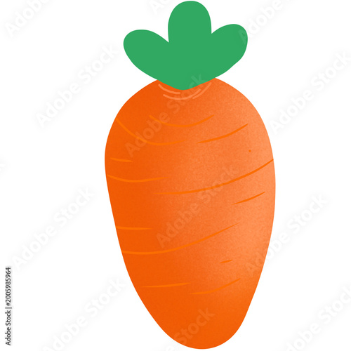 carrot on a white background