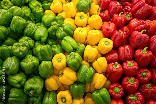 Vibrant bell peppers in green, yellow, and red arranged in rows