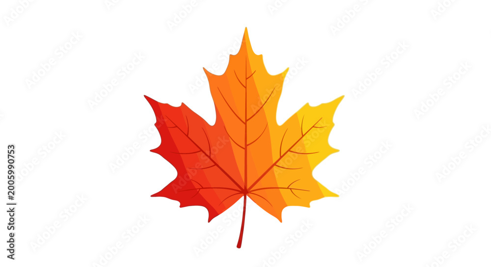 Fototapeta premium Vibrant autumn maple leaf illustration isolated on white background