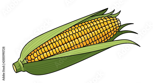 Foto Fresh ear of corn with green husk illustration.