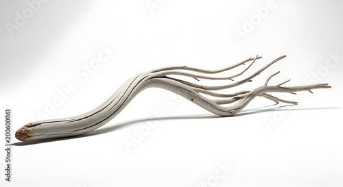 Elegant weathered driftwood branch on white background
