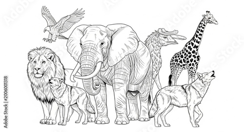 Canvas Print Collection of Diverse Animals in Detailed Line Art Style.