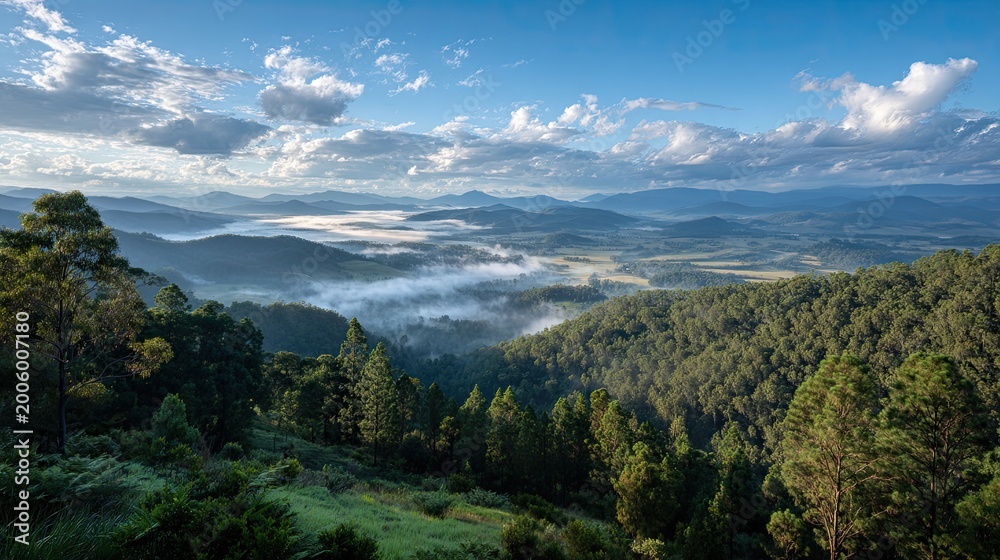 Obraz premium Rolling hills veiled in morning mist under a dramatic sky