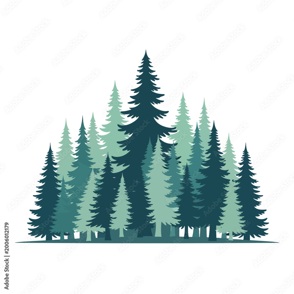 Obraz premium Group of Evergreen Pine Trees Silhouette.