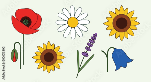 Bild auf Leinwand Adobe Illustrator Artwork