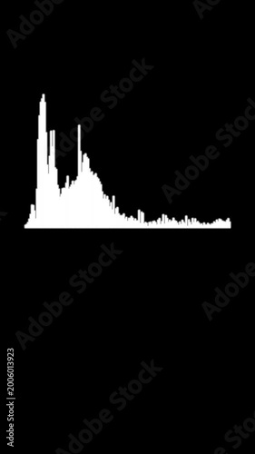 Dynamic equalizer bar animation with white waveform spectrum and pulsing frequency lines, smooth motion on black background for music visualizer and audio projects