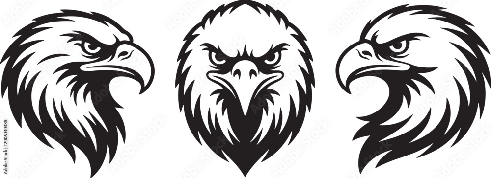 Obraz premium Three black and white eagle heads in profile and frontal view bird