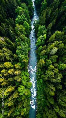 An aerial shot captures a river snaking through a lush, dense forest of varying shades of green, revealing rocky areas