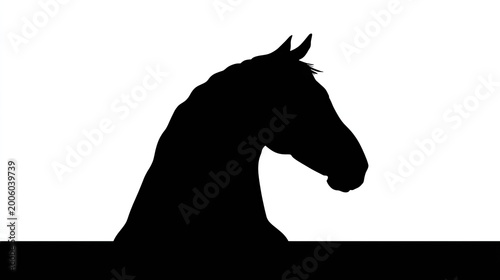 Equine head profile emerges above a stark black horizontal boundary against a white backdrop