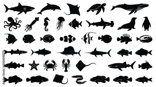 Foto Marine animals and fish silhouettes collection