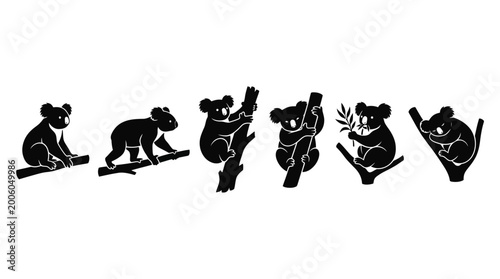 Photography koala silhouettes in side and slight front view, solid black shapes