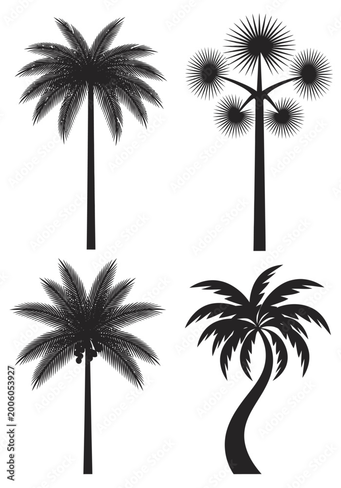 Naklejka premium Set of Four Palm Tree Silhouettes, Tropical Plant Icons for Summer Beach Design, Vector Black Palm Leaf Shapes Isolated on White