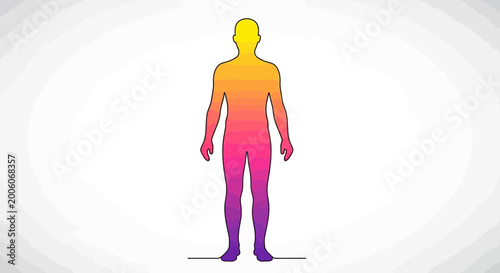 Human body temperature gradient, yellow to purple, isolated on white background