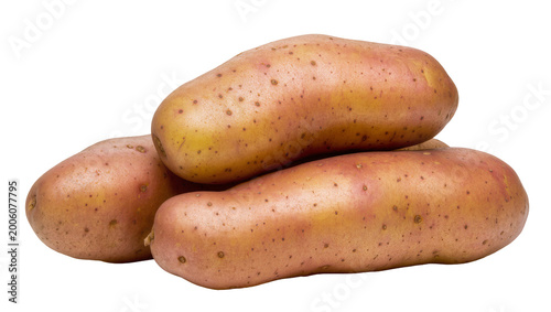 Quadro su tela Pile of raw oblong russet potatoes with brown skin, isolated on transparent back