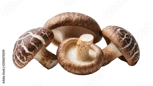 Принти на полотні Group of shiitake mushrooms with brown caps and white gills, isolated on transpa