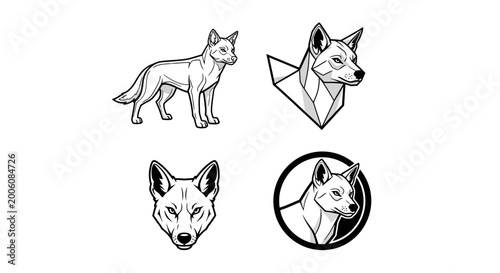 Elegant Dingo Illustrations - A Collection of Canine Art.