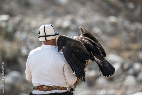 Golden eagles training for hunting on the shores of Lake Issyk-Kul in Kyrgyzstan