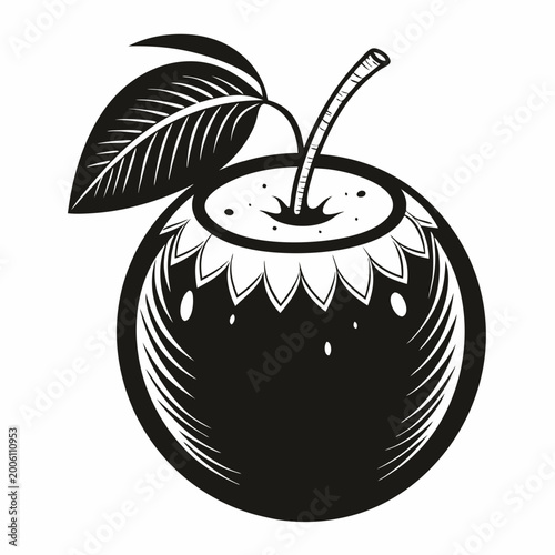 Black spiky fruit with green leaves illustration