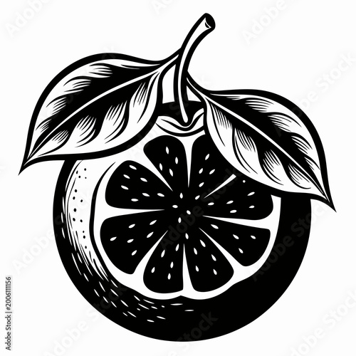 Black and white citrus slice with leaf vector illustration