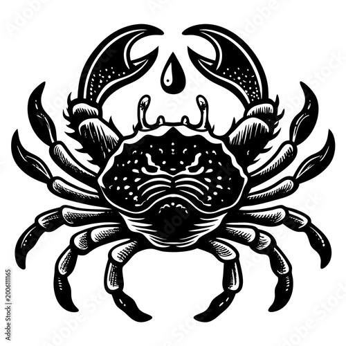 Black and white detailed crab illustration