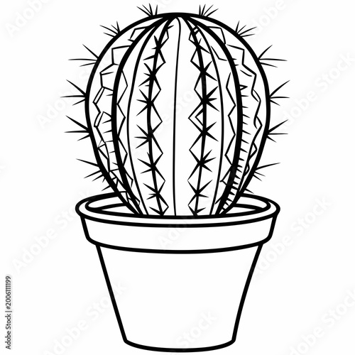 Cactus plant in a flower pot illustration